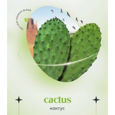  Бестабачная смесь Indigo Cactus (Кактус) (100 грамм)