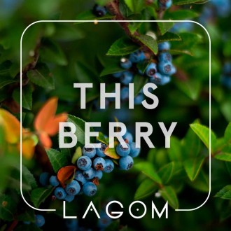 Тютюн Lagom Navy This Berry (Оця ягода) (40 грамів)
