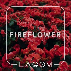 Тютюн Lagom Fireflower (Квітковий аромат з прянощами) (200 грамів)