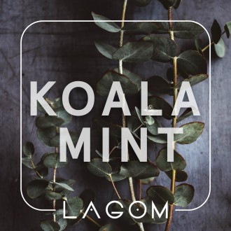 Тютюн Lagom Koala Mint (Орбіт з евкаліптом) (200 грамів)