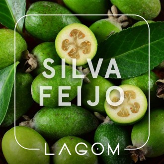 Тютюн Lagom Silva Feijo (Фейхоа) (200 грамів)